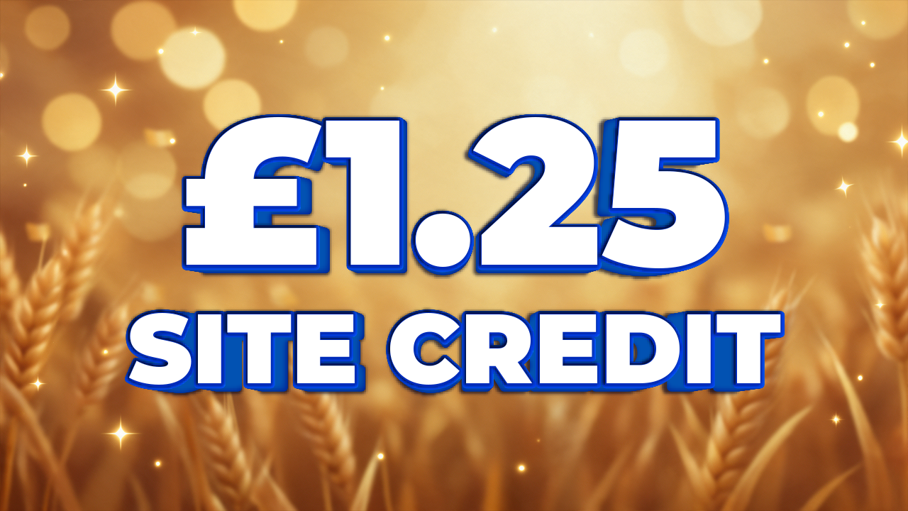 £1.25 Credit