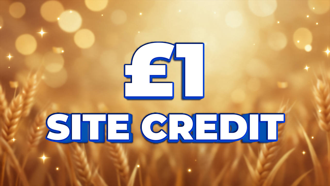 £1 Credit