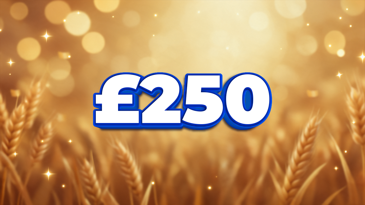 £250 Cash