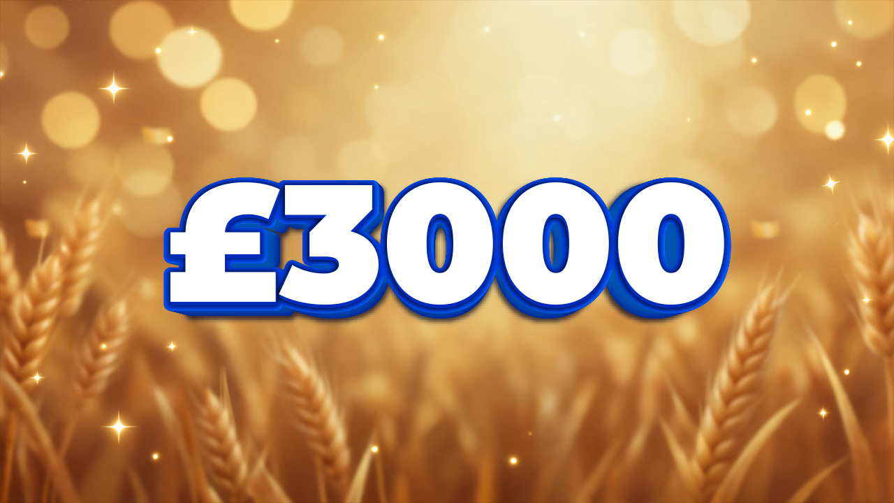 £3000 Cash