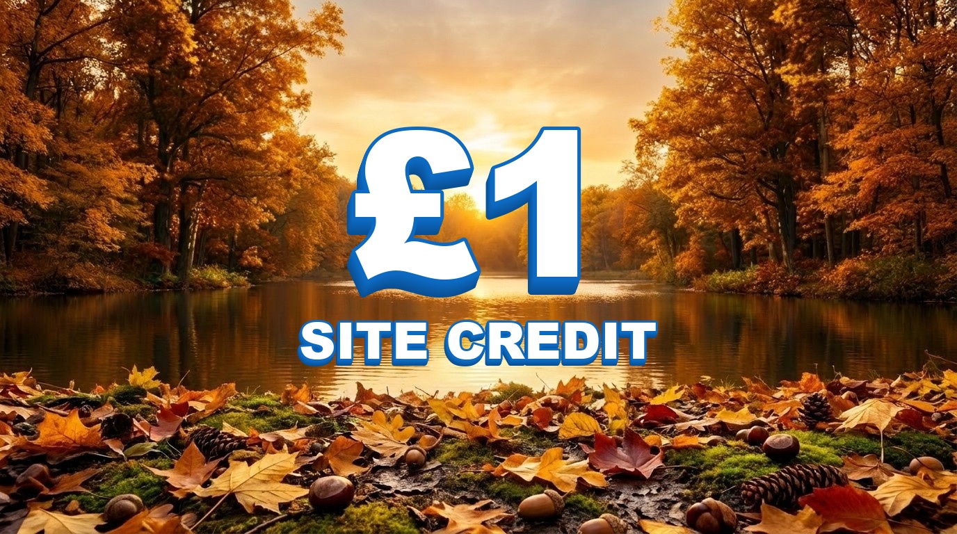 £1 Credit