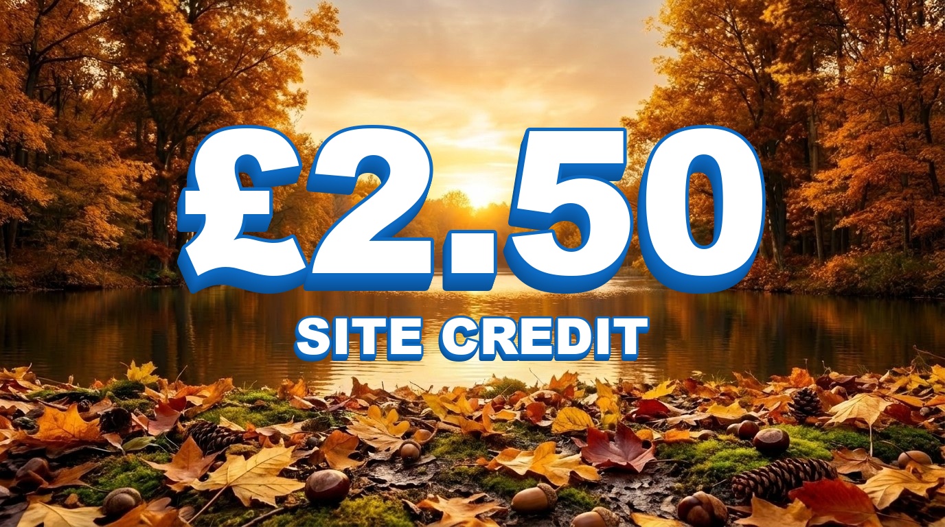 £2.50 Credit