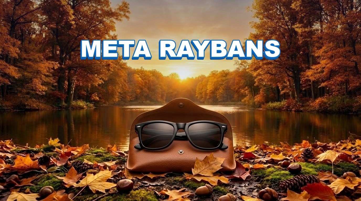 Meta Raybans