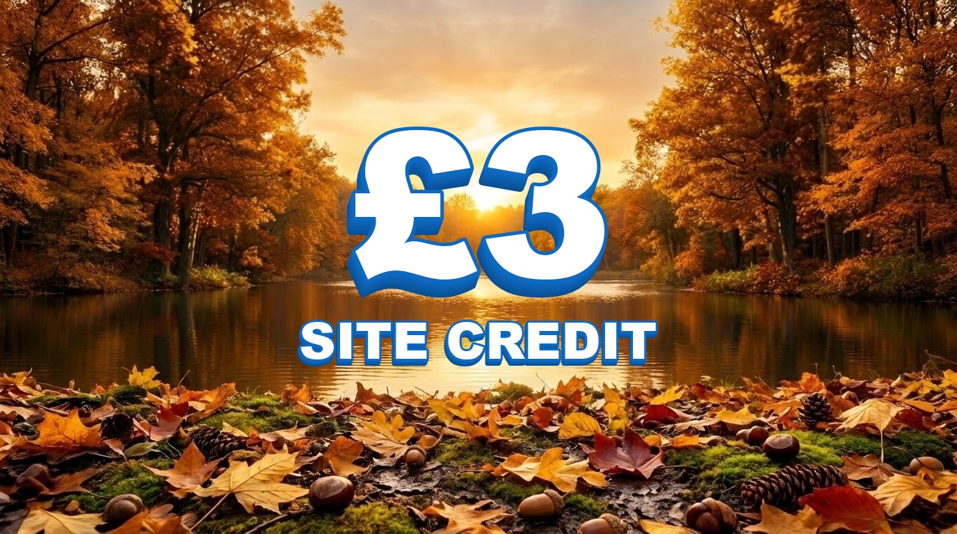 £3 Credit