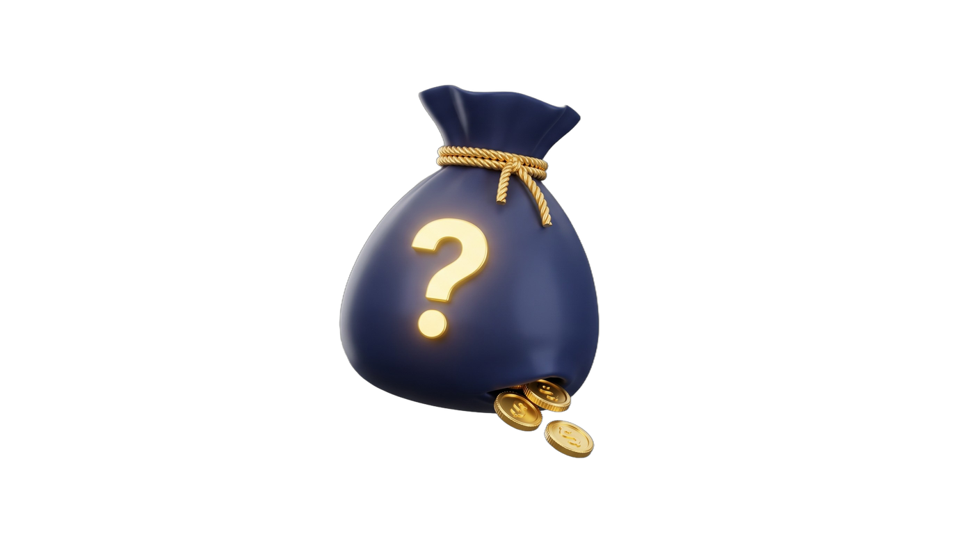 Mystery Cash Bag